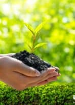 Política Ambiental